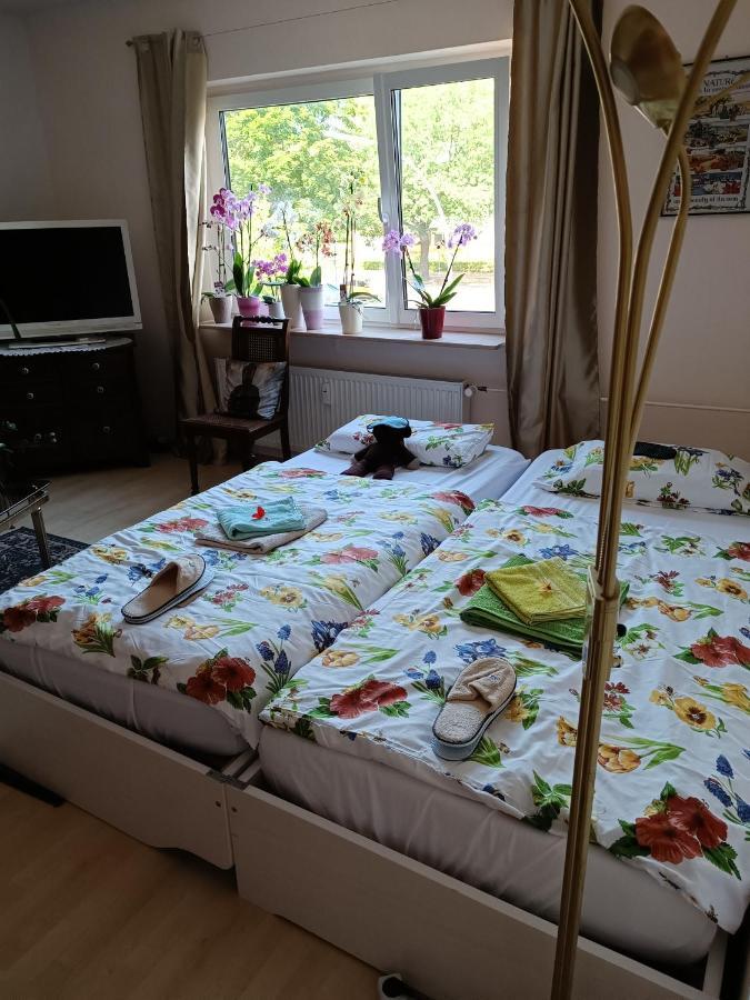 Weltoffenes Privates Gaestezimmer Bei Lgbtq Freundlichen Gastgeber Der Mit In Der Wohnung Lebt 柏林 外观 照片